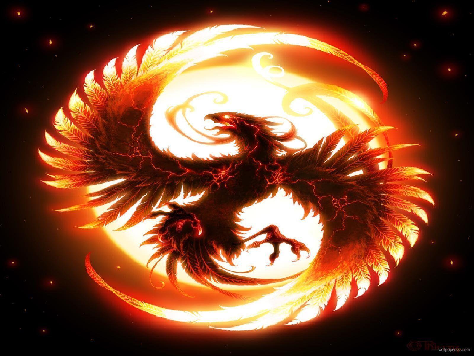 Dragon Throwing Fire Wallpapers