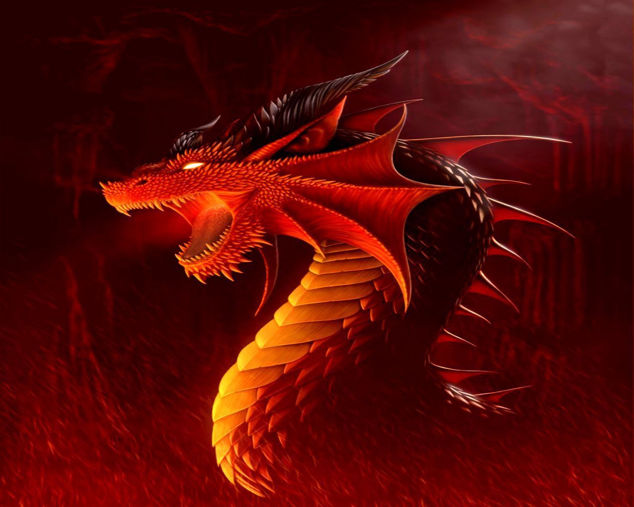 Dragons Fire Wallpapers