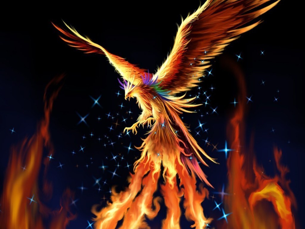 Fantasy Phoenix Digital Art Wallpapers