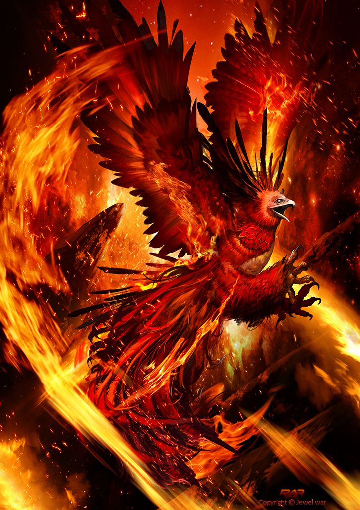 Fantasy Phoenix Digital Art Wallpapers