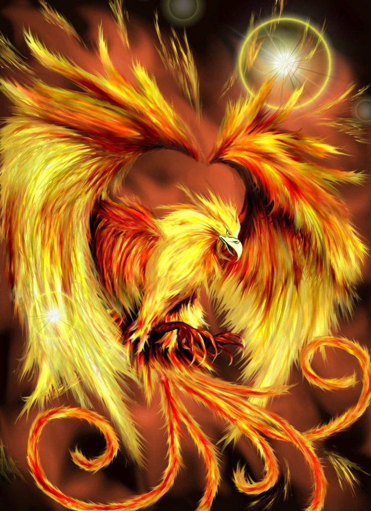 Fantasy Phoenix Digital Art Wallpapers