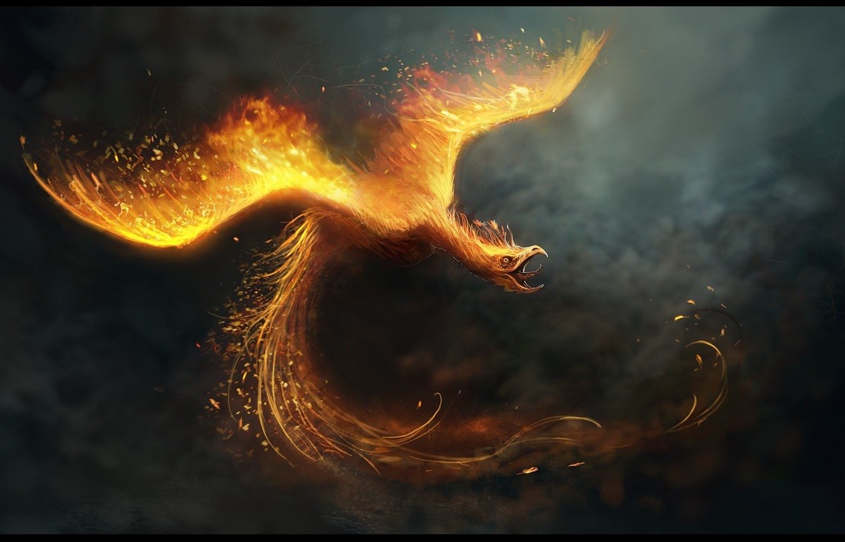 Fantasy Phoenix Digital Art Wallpapers