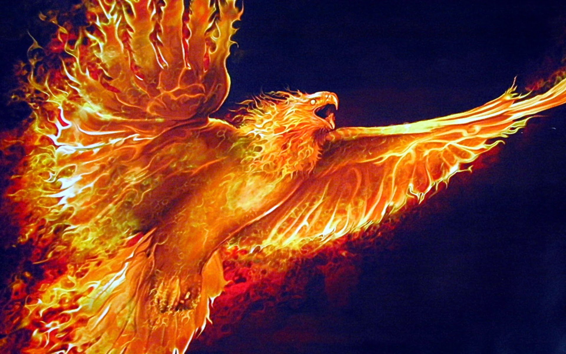 Fantasy Phoenix Digital Art Wallpapers