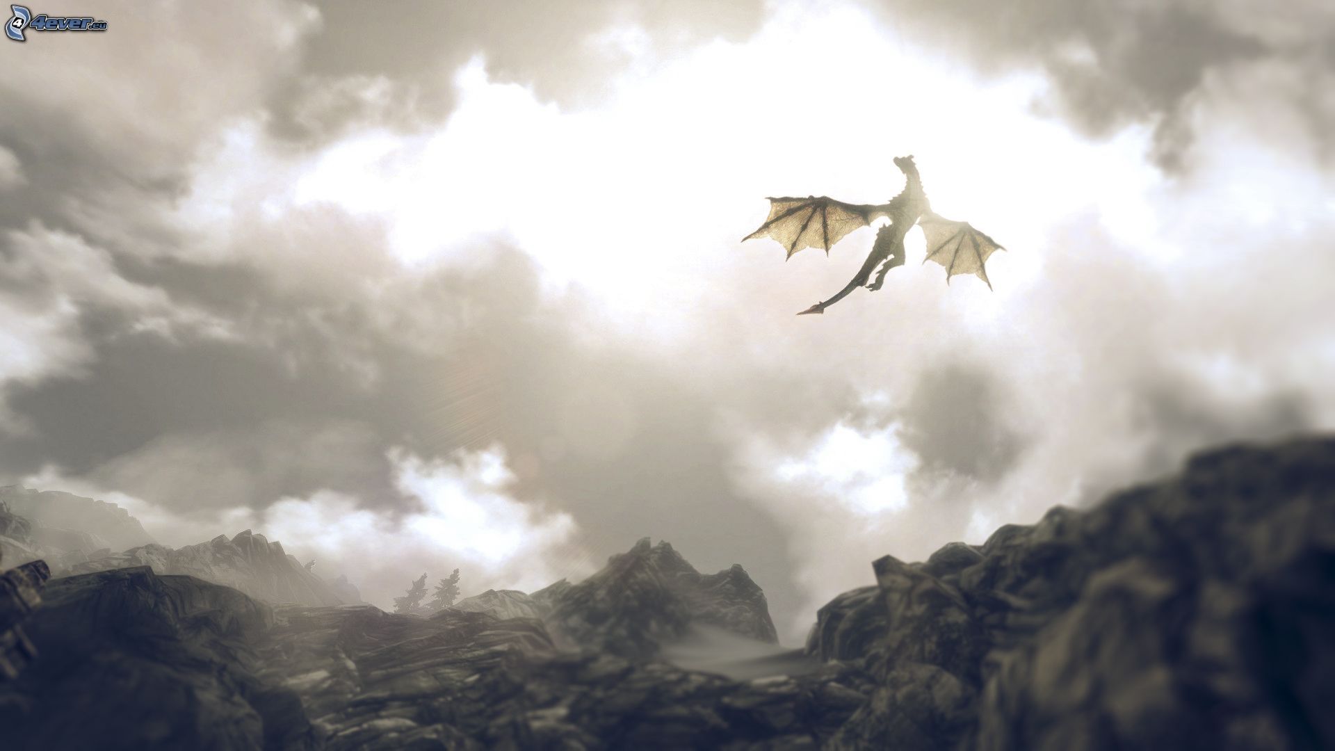 Flying Dragon Over Colorful Cloud Wallpapers