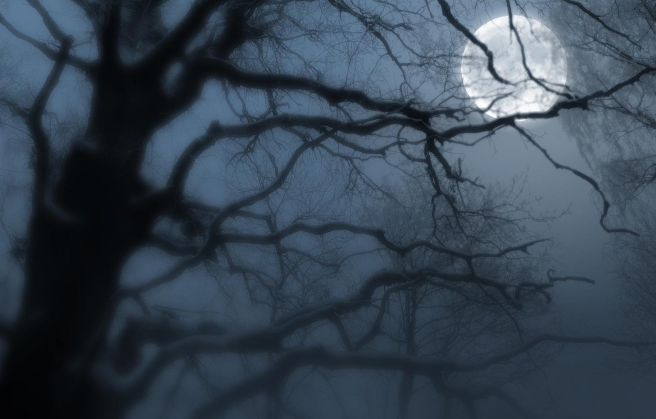 Foggy Night Moon Wallpapers