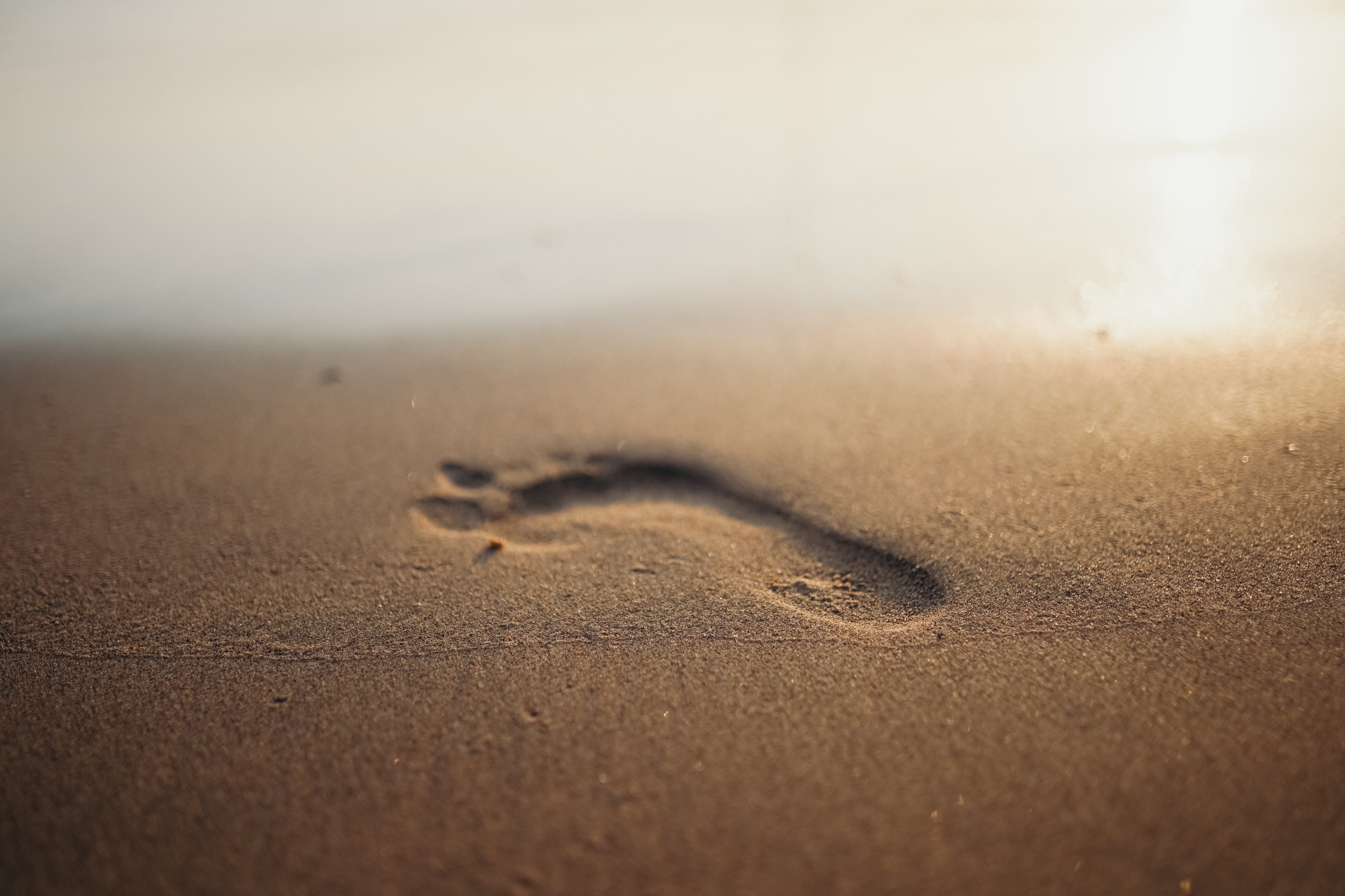 Footprint Wallpapers