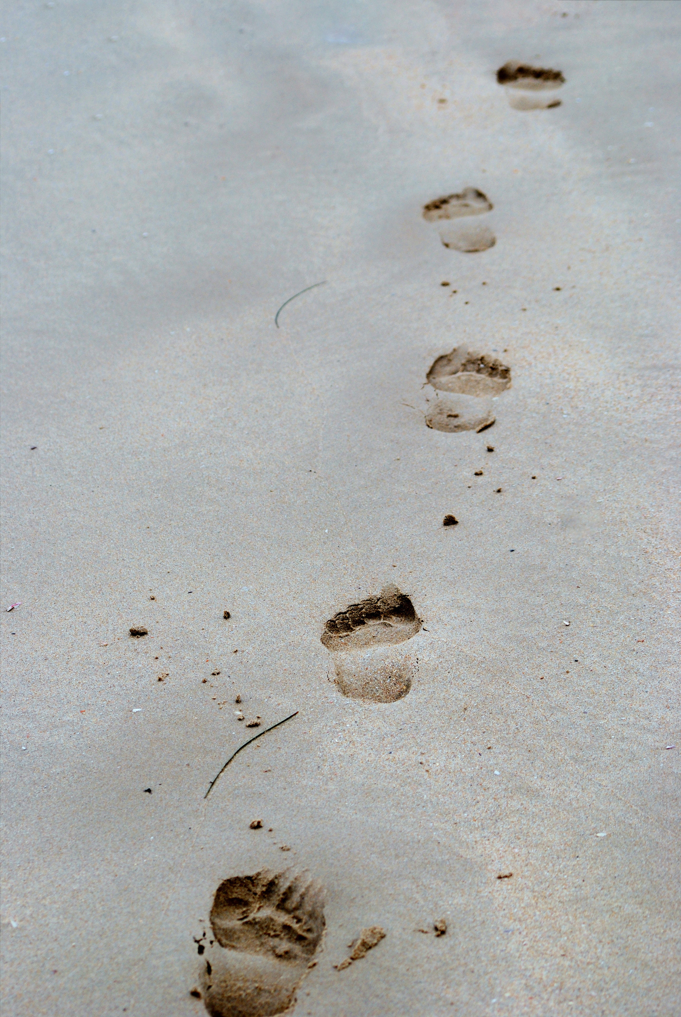 Footprint Wallpapers
