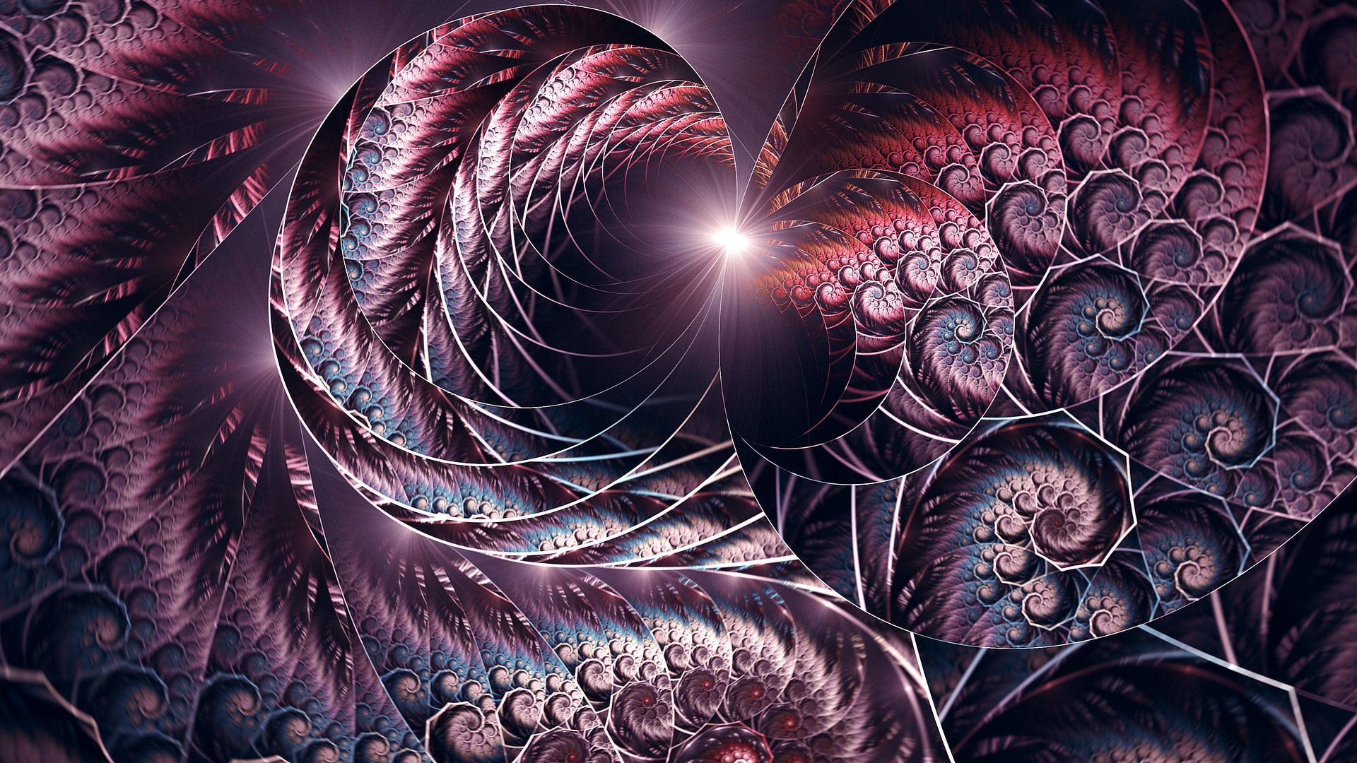 Fractal Illustrator Design Wallpapers