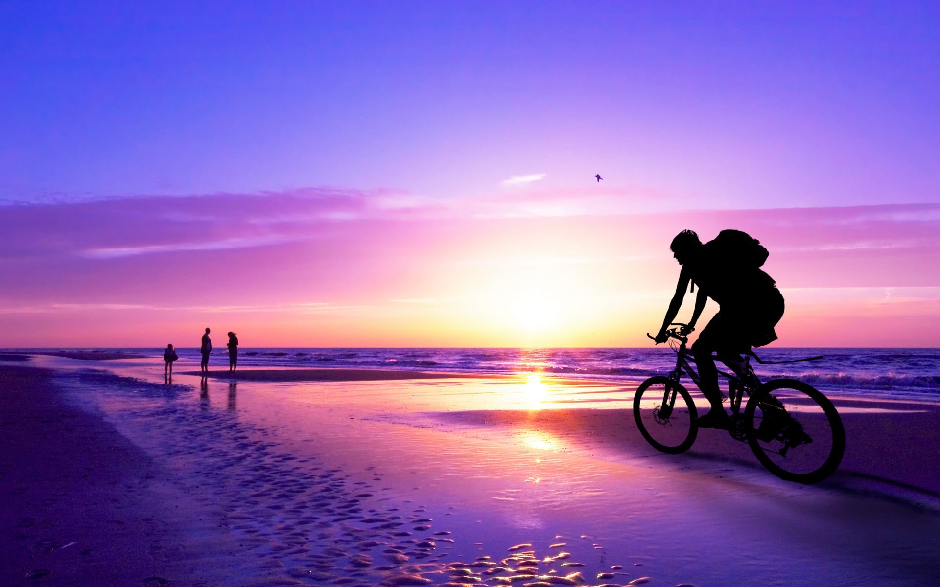 Girl Cycling Near Sea 4K Wallpapers