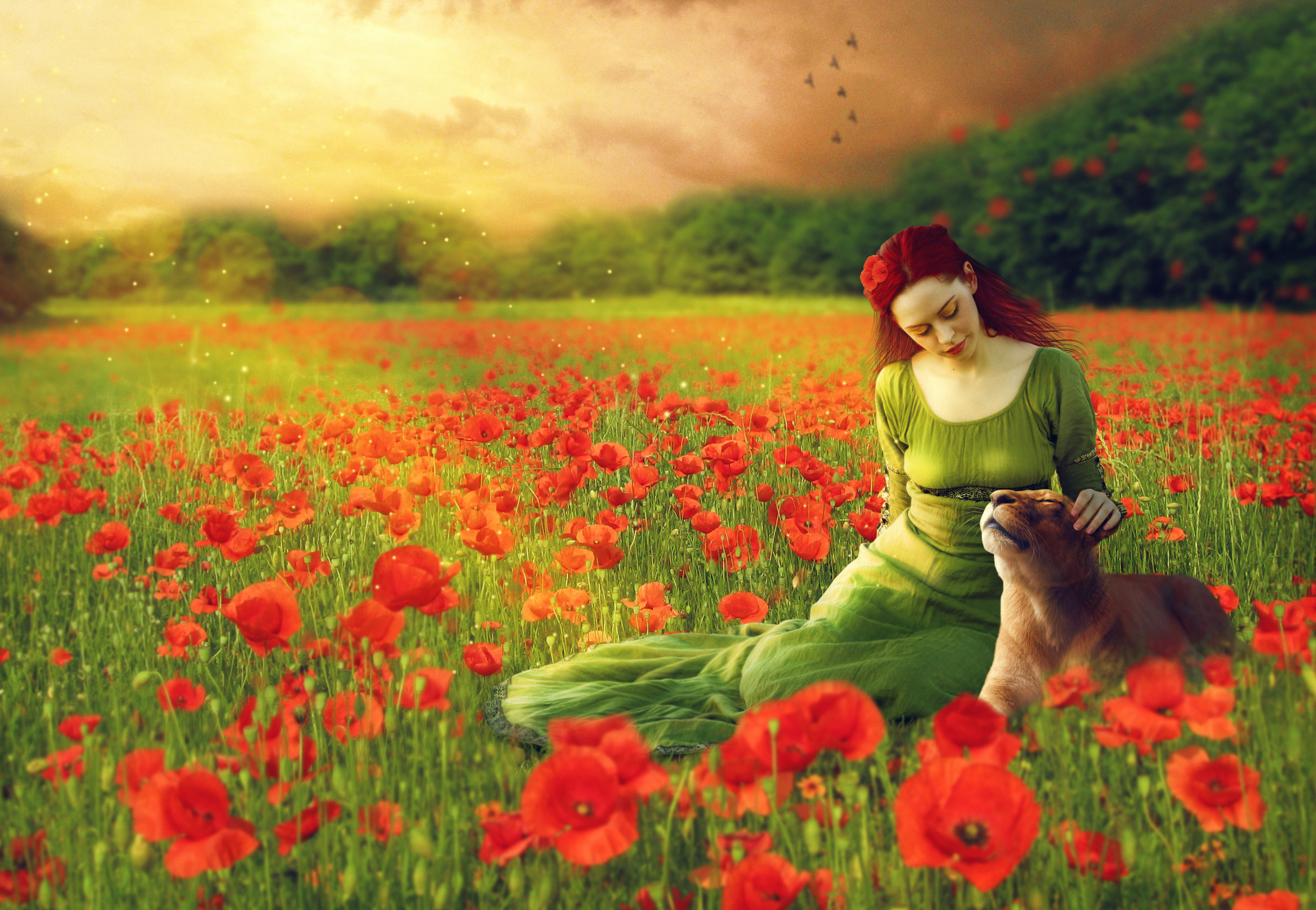 Girl Lion Dreamy World Artwork Wallpapers