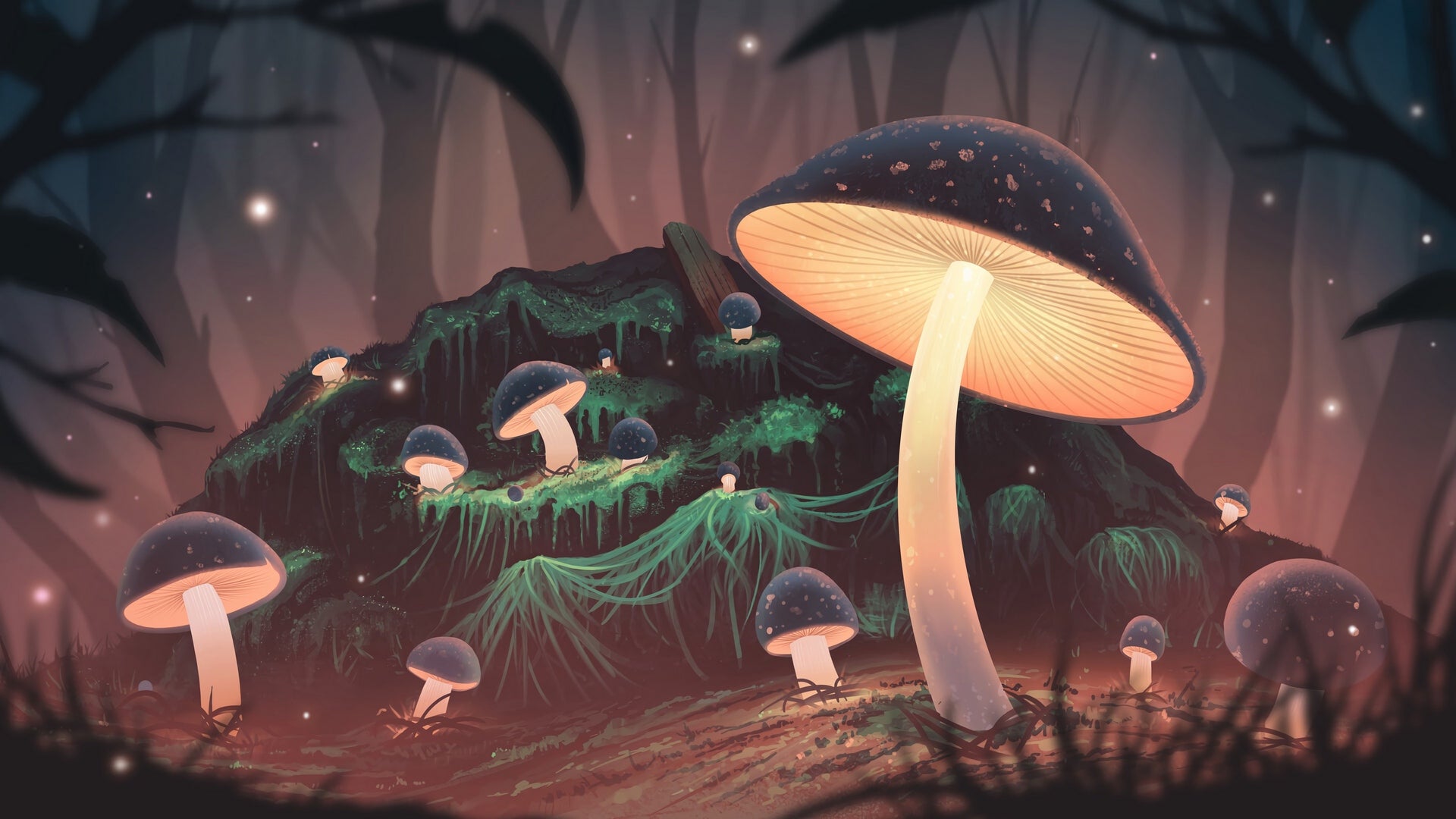 Glowing Mushroom Hd Wallpapers