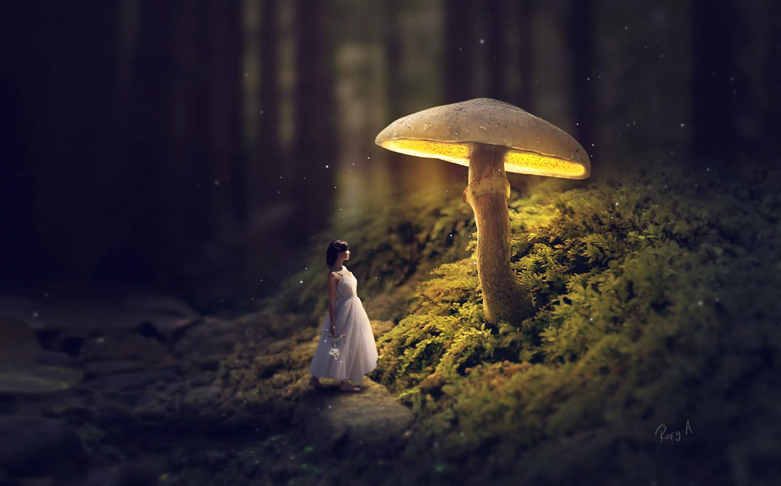 Glowing Mushroom Hd Wallpapers