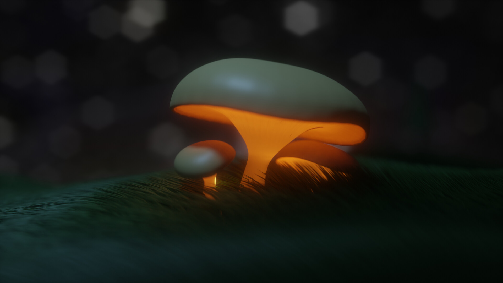 Glowing Mushroom Hd Wallpapers