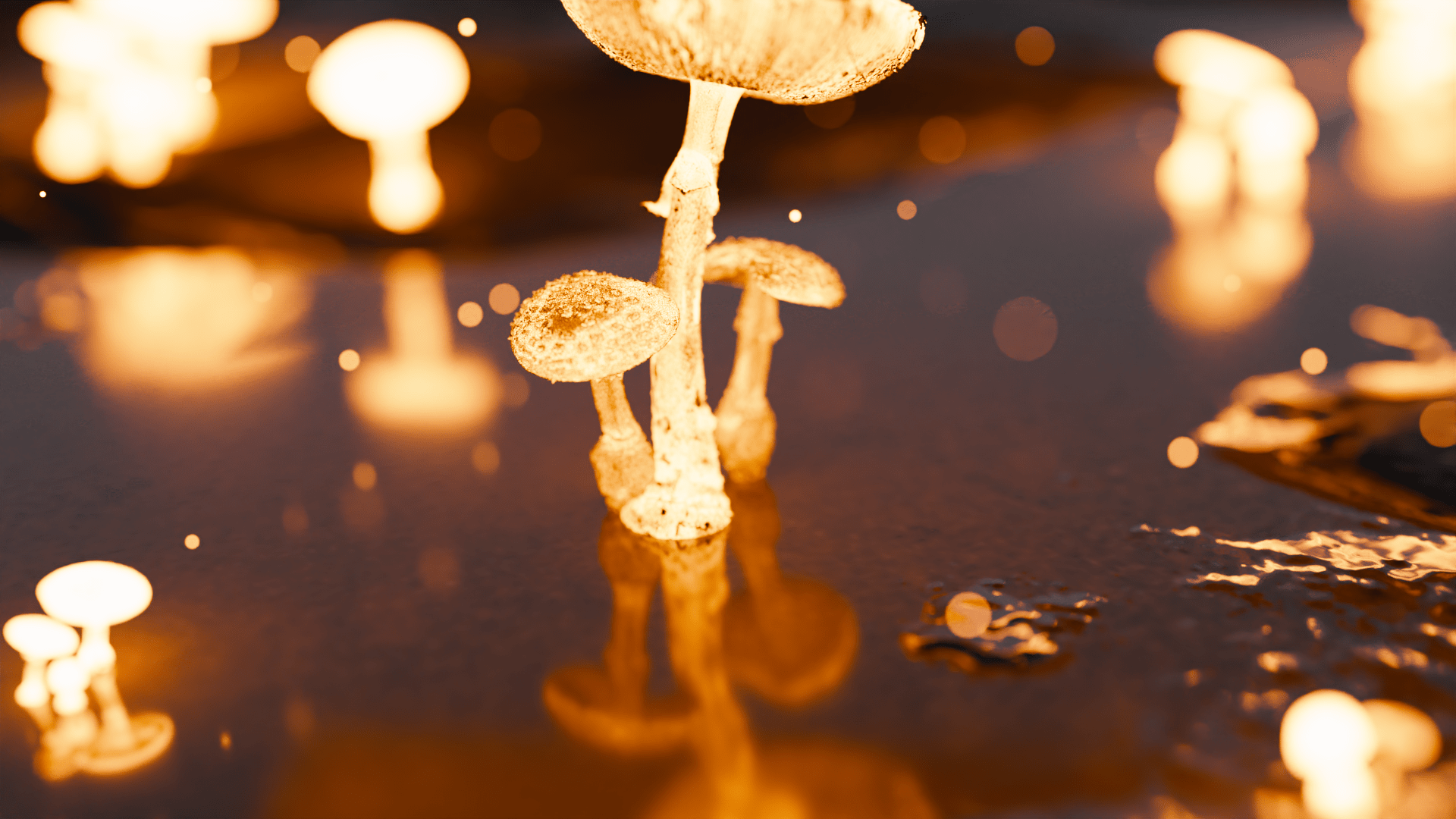 Glowing Mushroom Hd Wallpapers