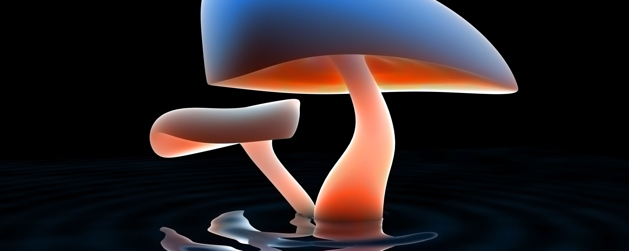 Glowing Mushroom Hd Wallpapers