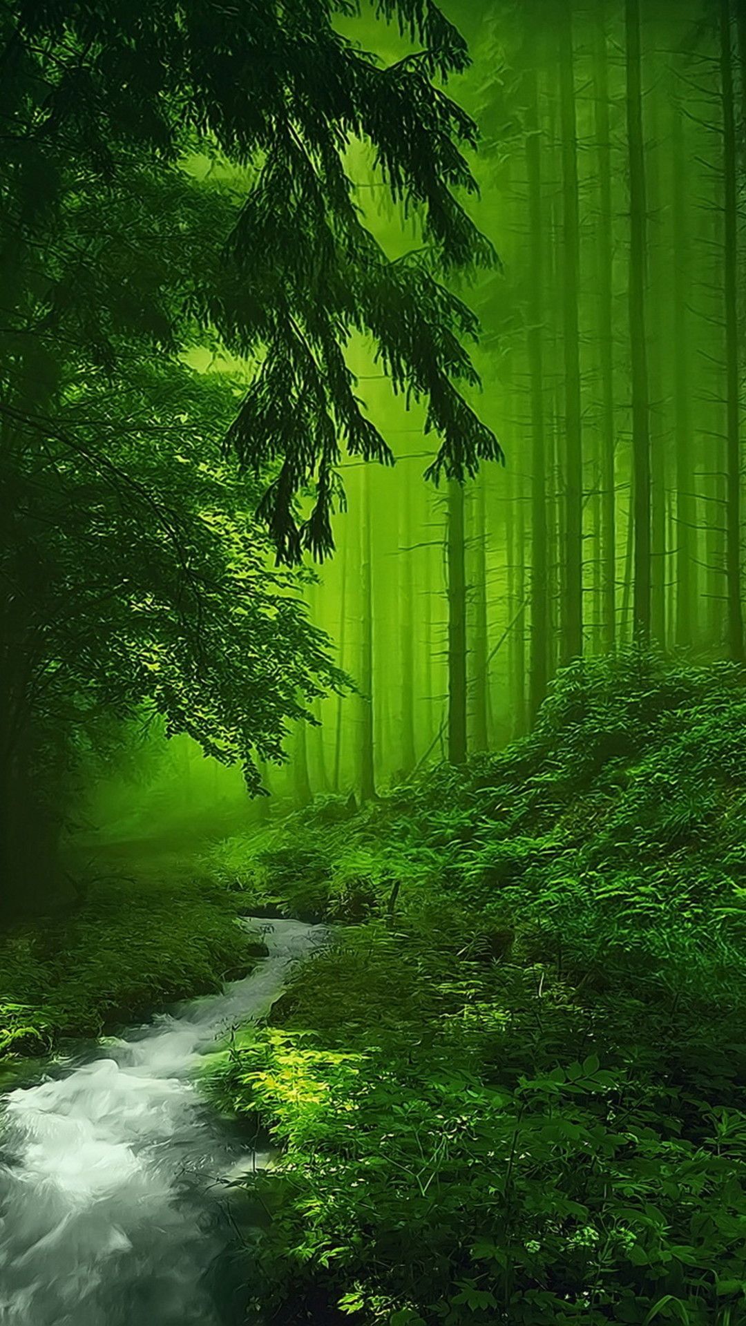 Green Wallpapers