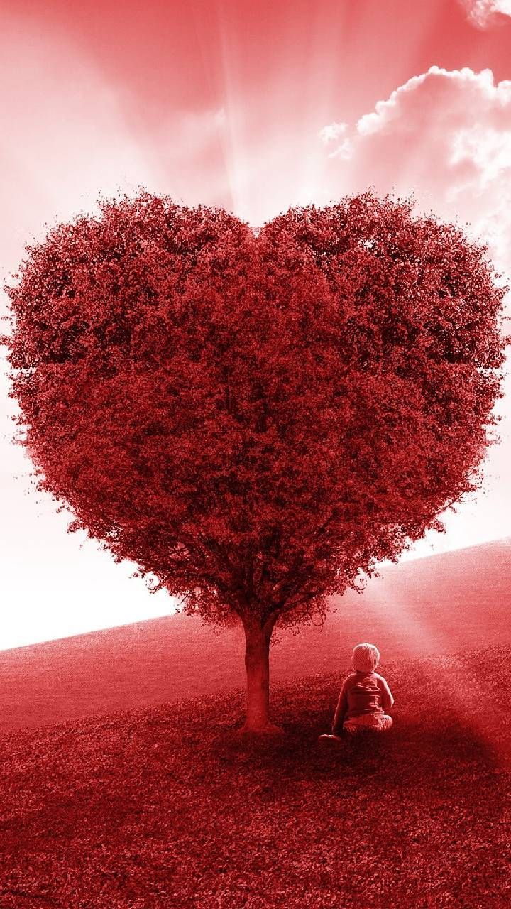 Heart-Shaped Artistic Tree 4K Wallpapers