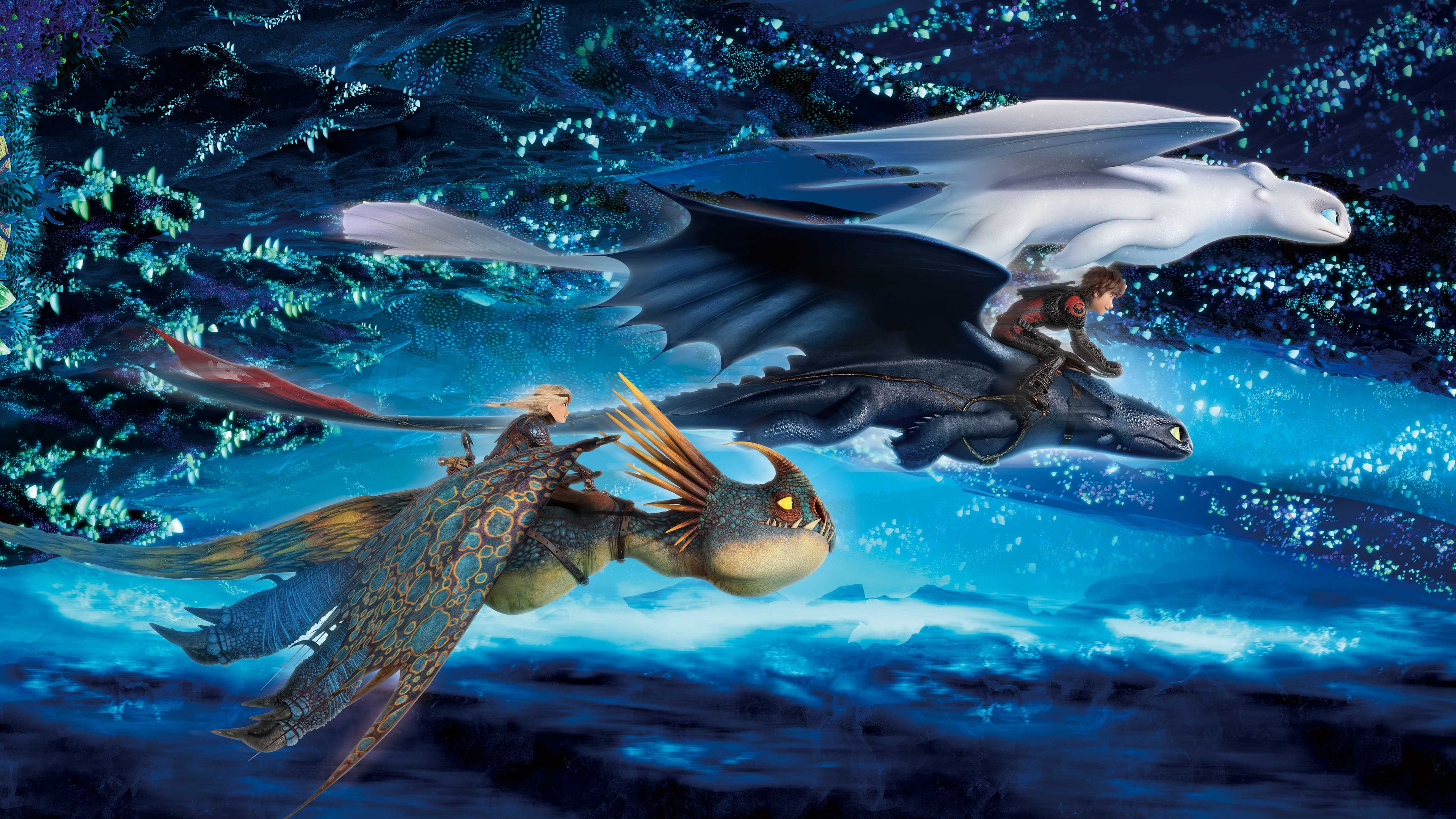 How To Train Your Dragon The Hidden World Artwork Wallpapers