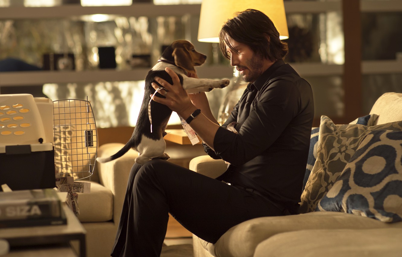 John Wick As Keanu Reeves And Dog Wallpapers