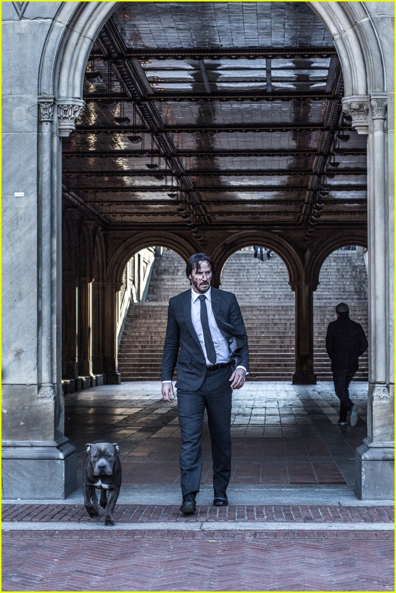 John Wick As Keanu Reeves And Dog Wallpapers