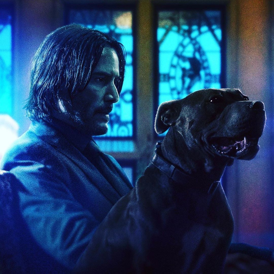 Keanu Reeves And Dog In Cyberpunk 2077 Wallpapers