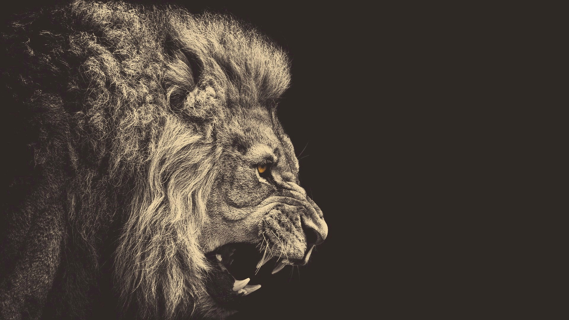 Lion Art Wallpapers