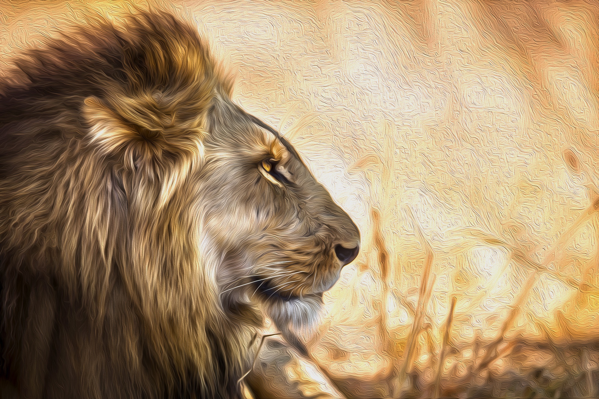 Lion Art Wallpapers