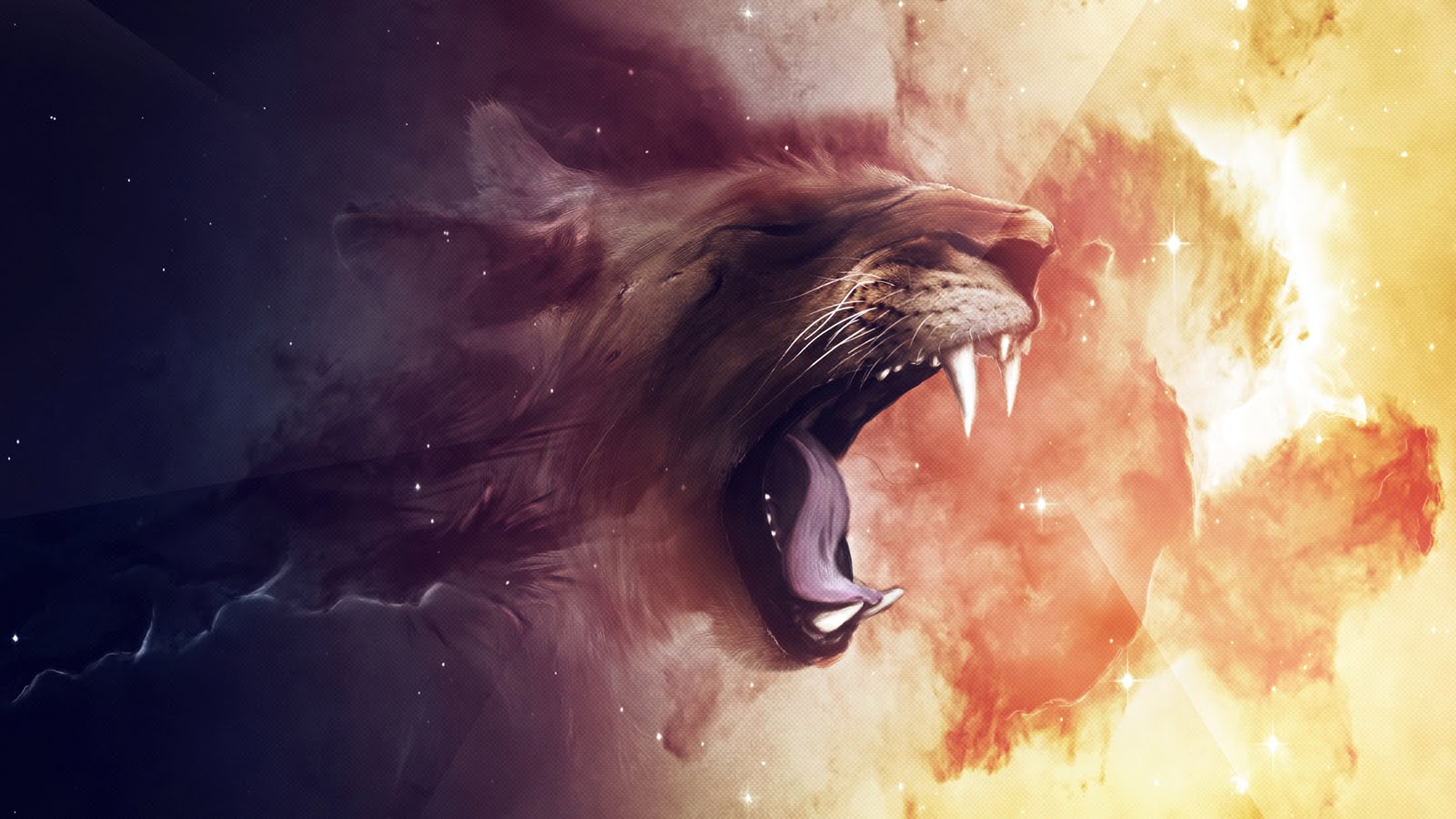 Lion Vector Wallpapers