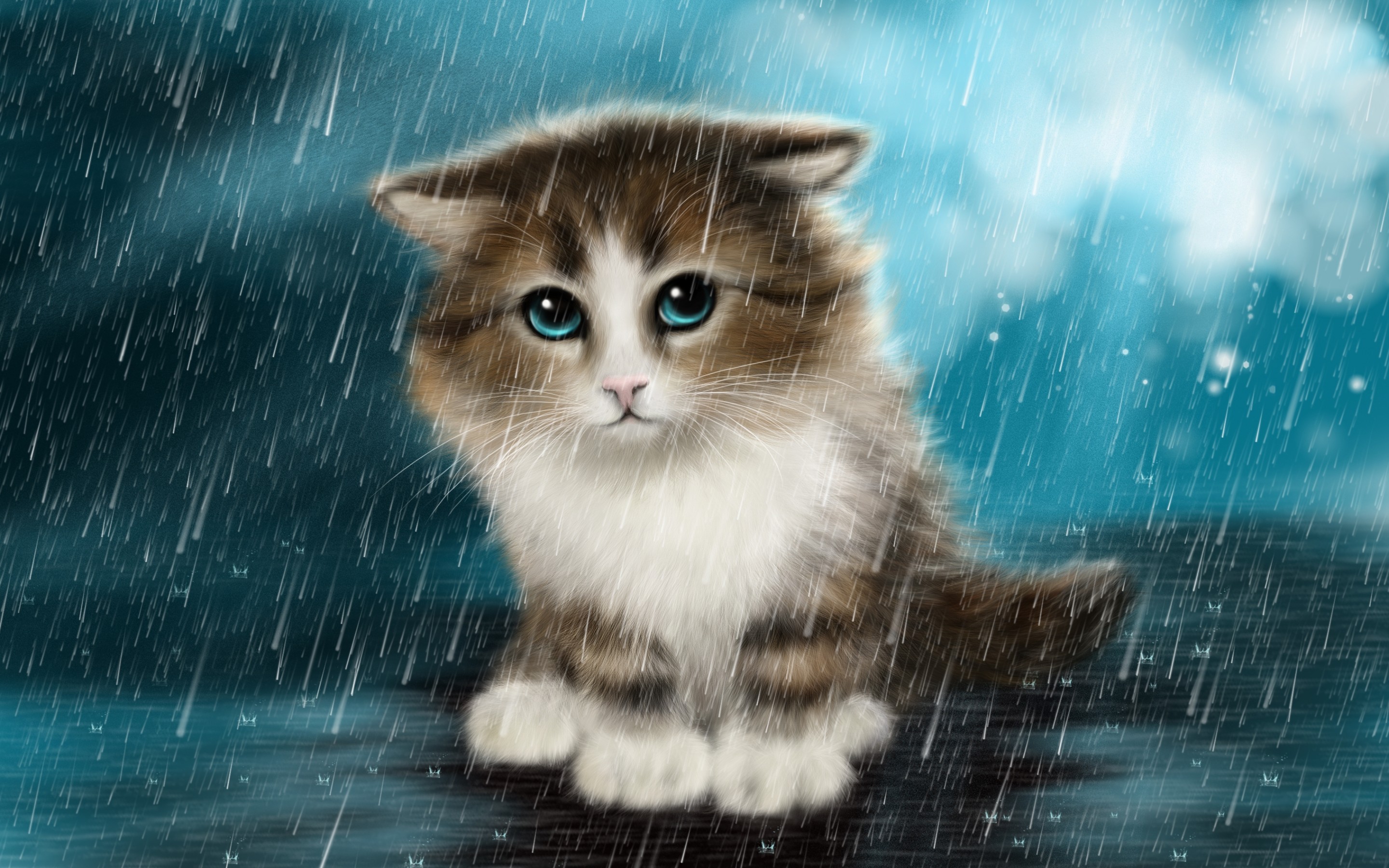 Lonely Cat In Rain 4K Wallpapers