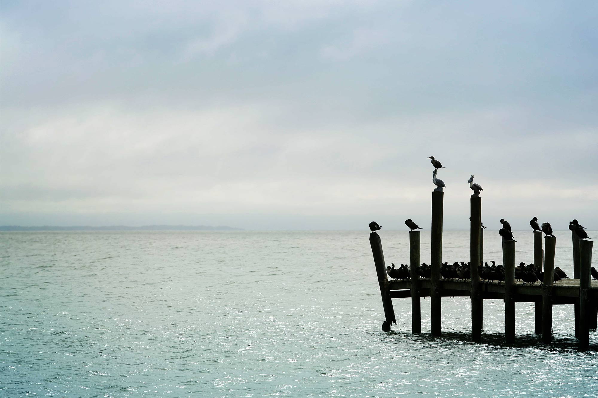 Man In Lake With Sphere Artistic Wallpapers