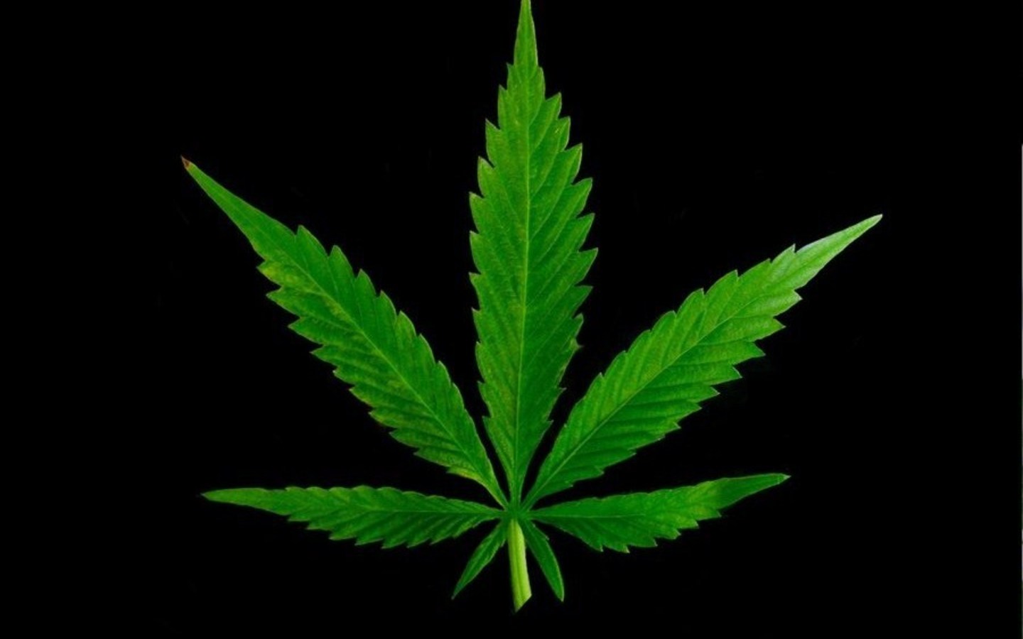 Marijuana Wallpapers