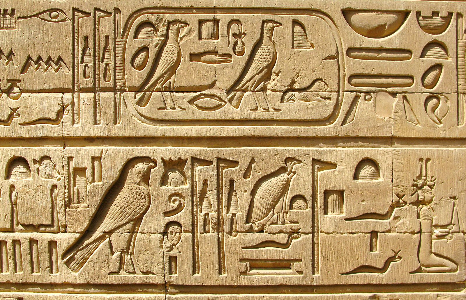 Maya Hieroglyphic Wallpapers