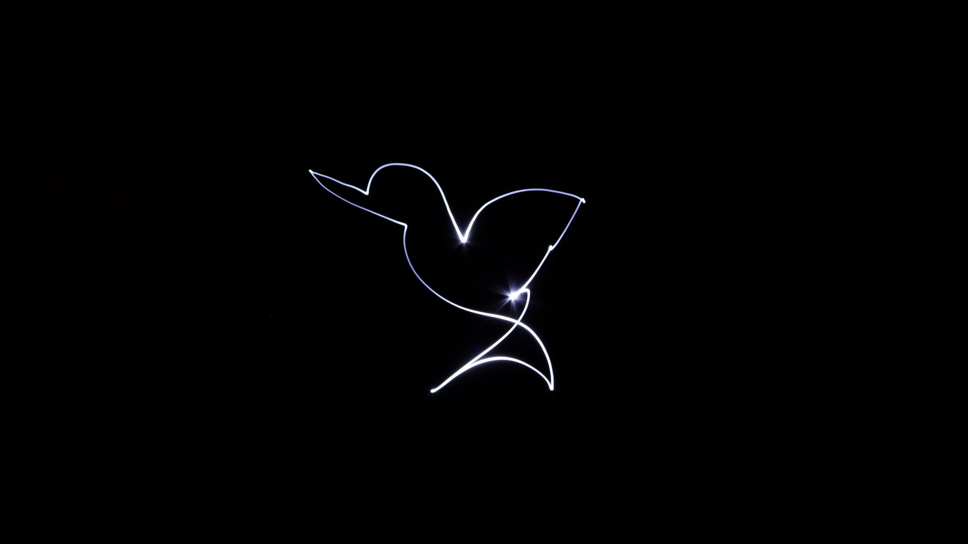 Neon Bird Wallpapers