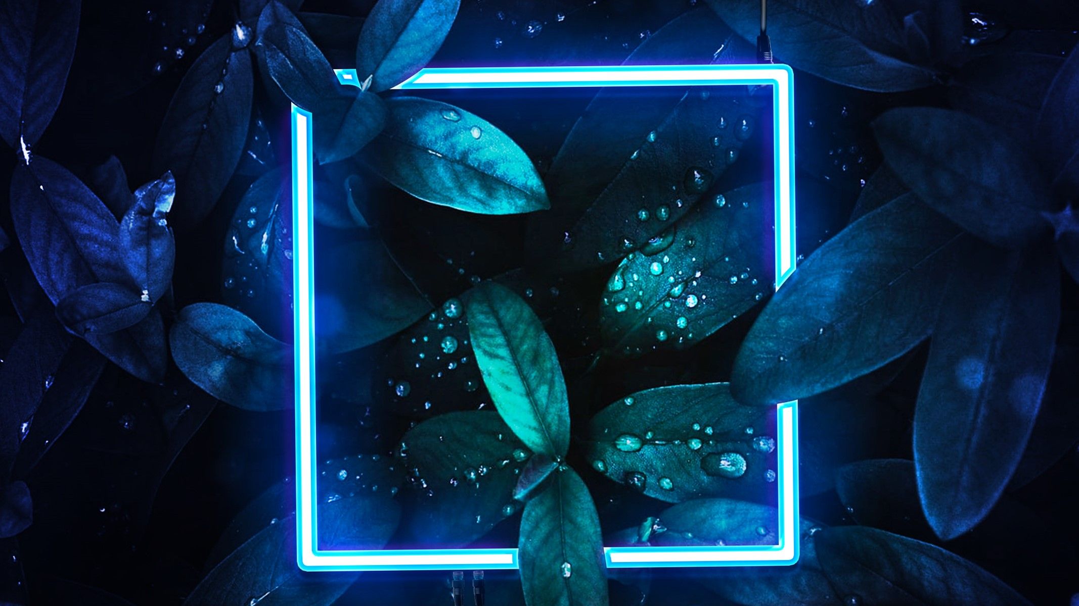 Neon Square 4K Wallpapers