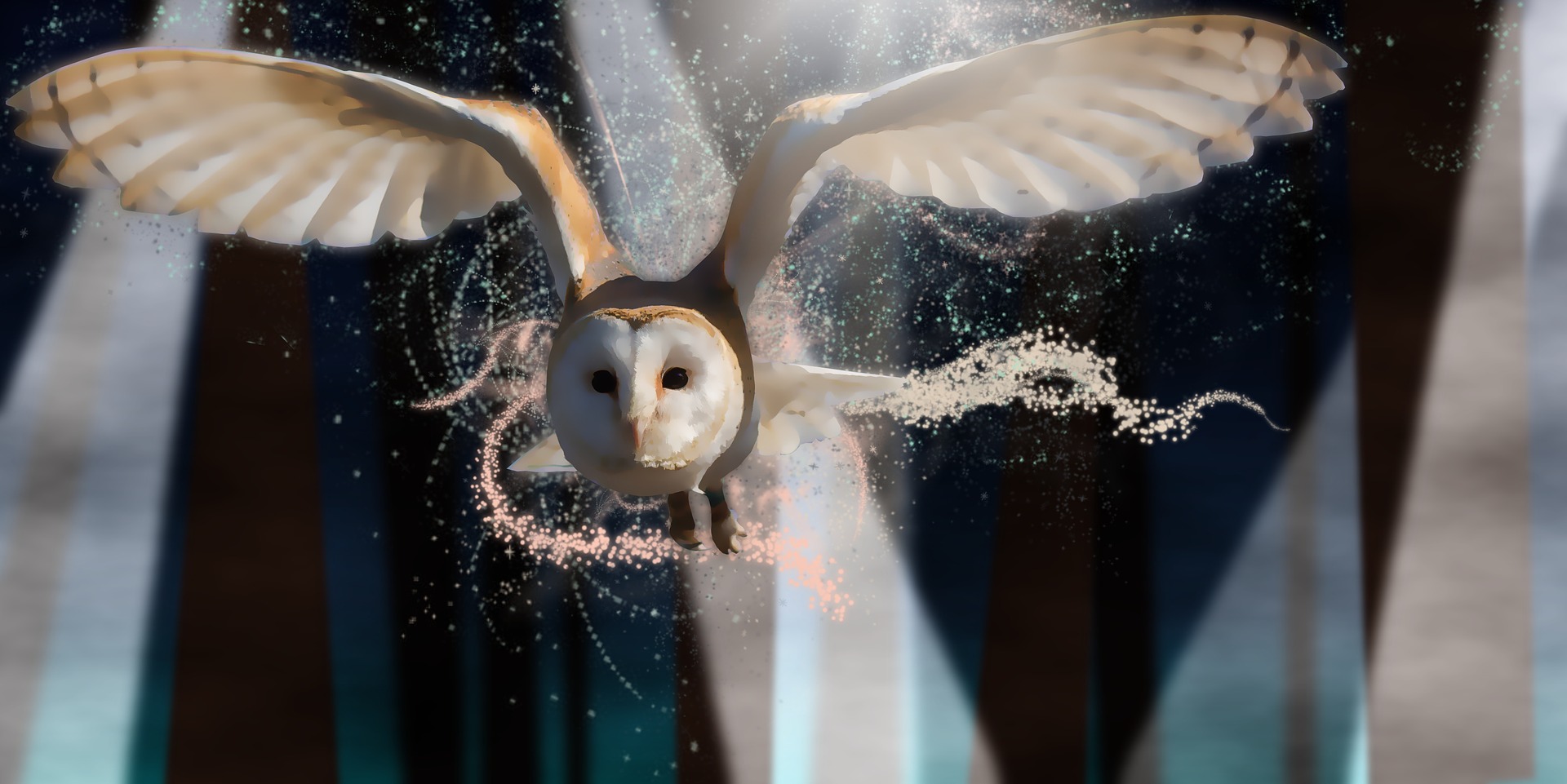 Owl Forest At Night Art Wallpapers