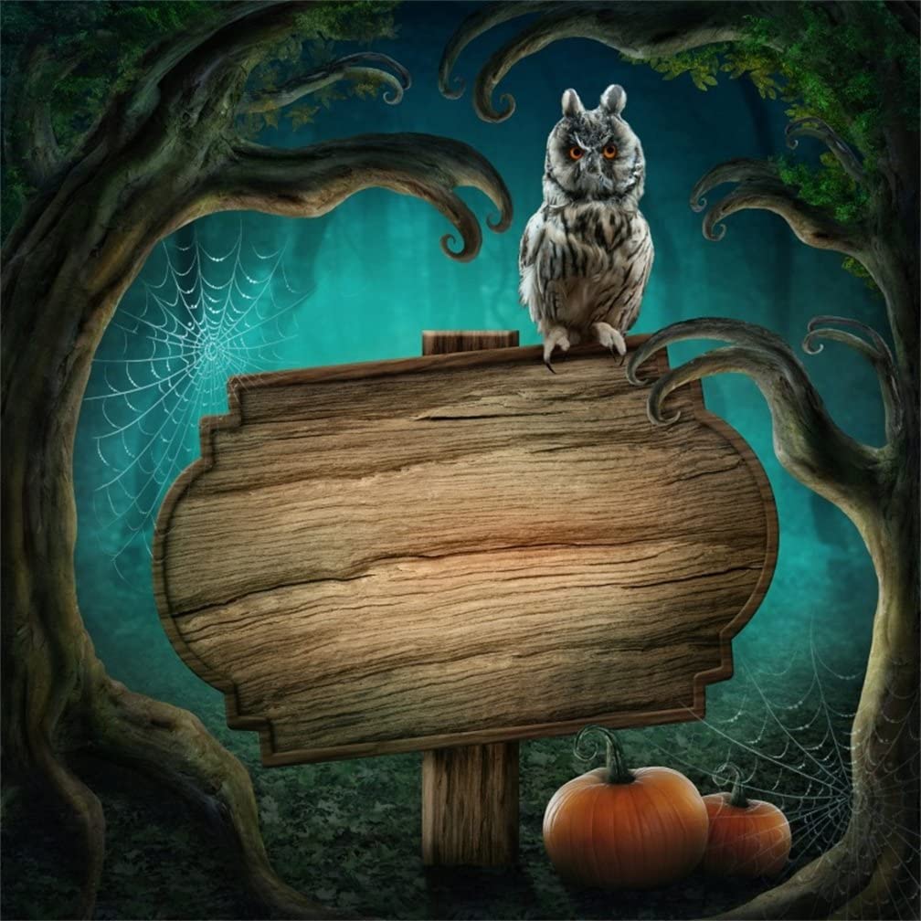 Owl Forest At Night Art Wallpapers