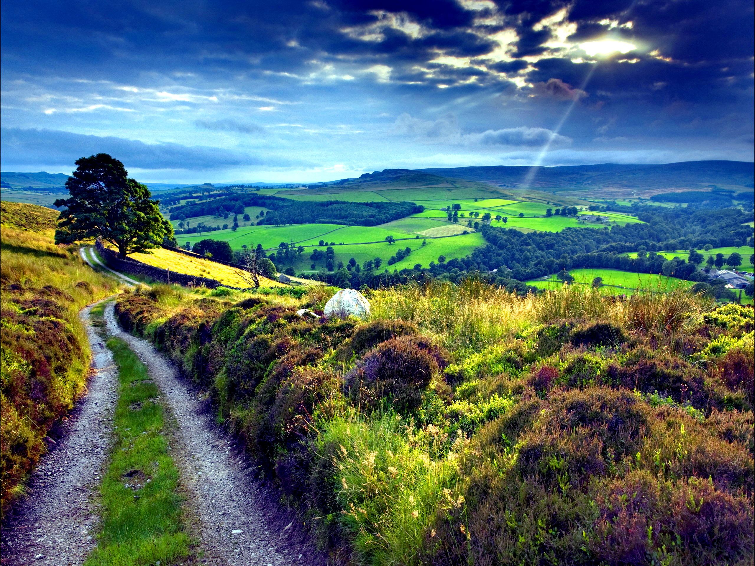 Path In Countryside At Evening Wallpapers