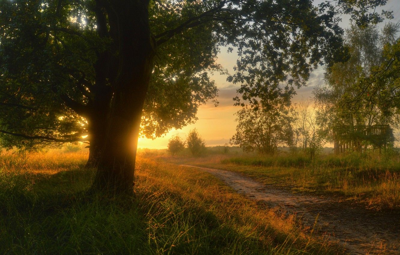 Path In Countryside At Evening Wallpapers