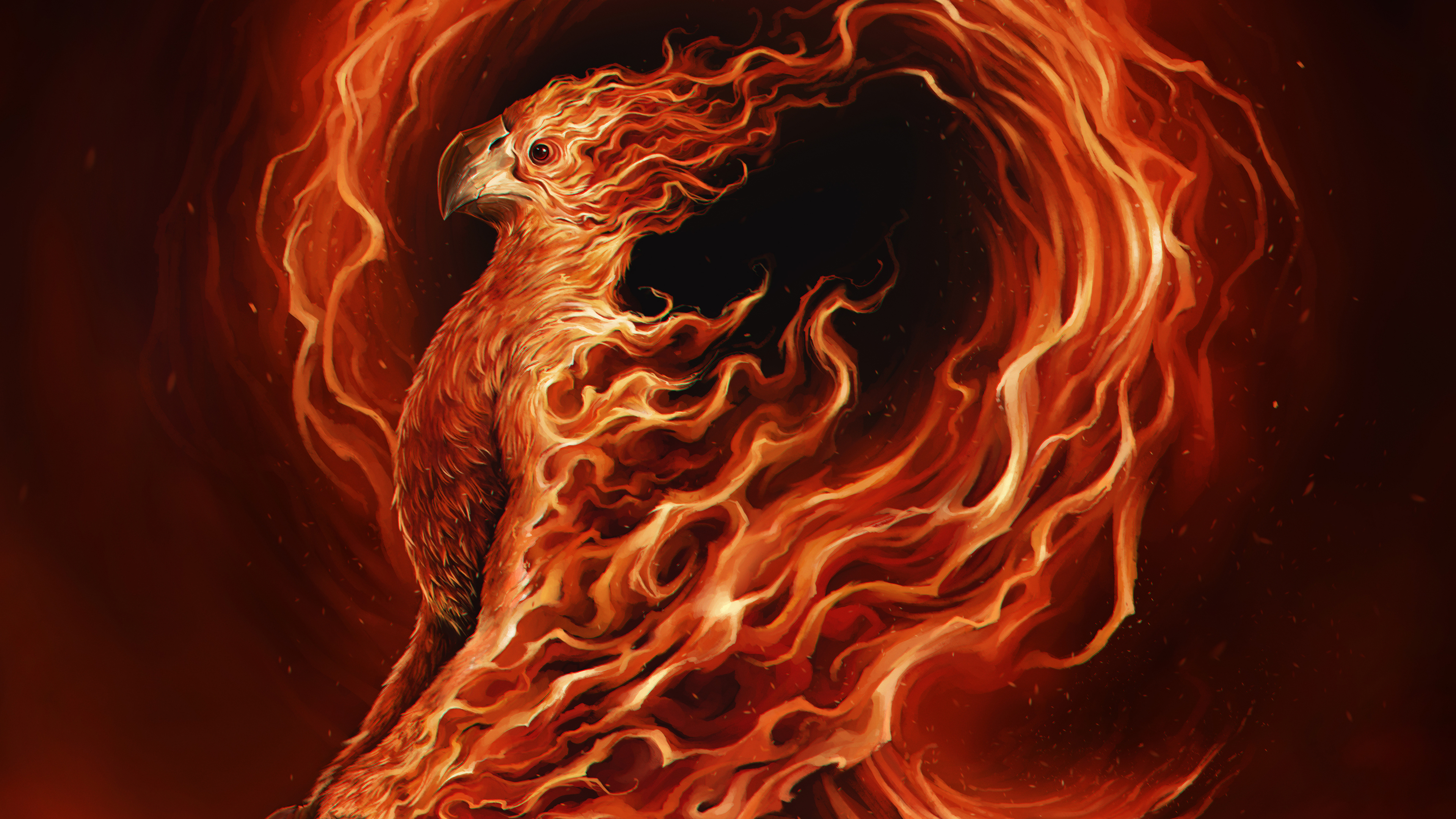 Phoenix On Fire 4K Art Wallpapers