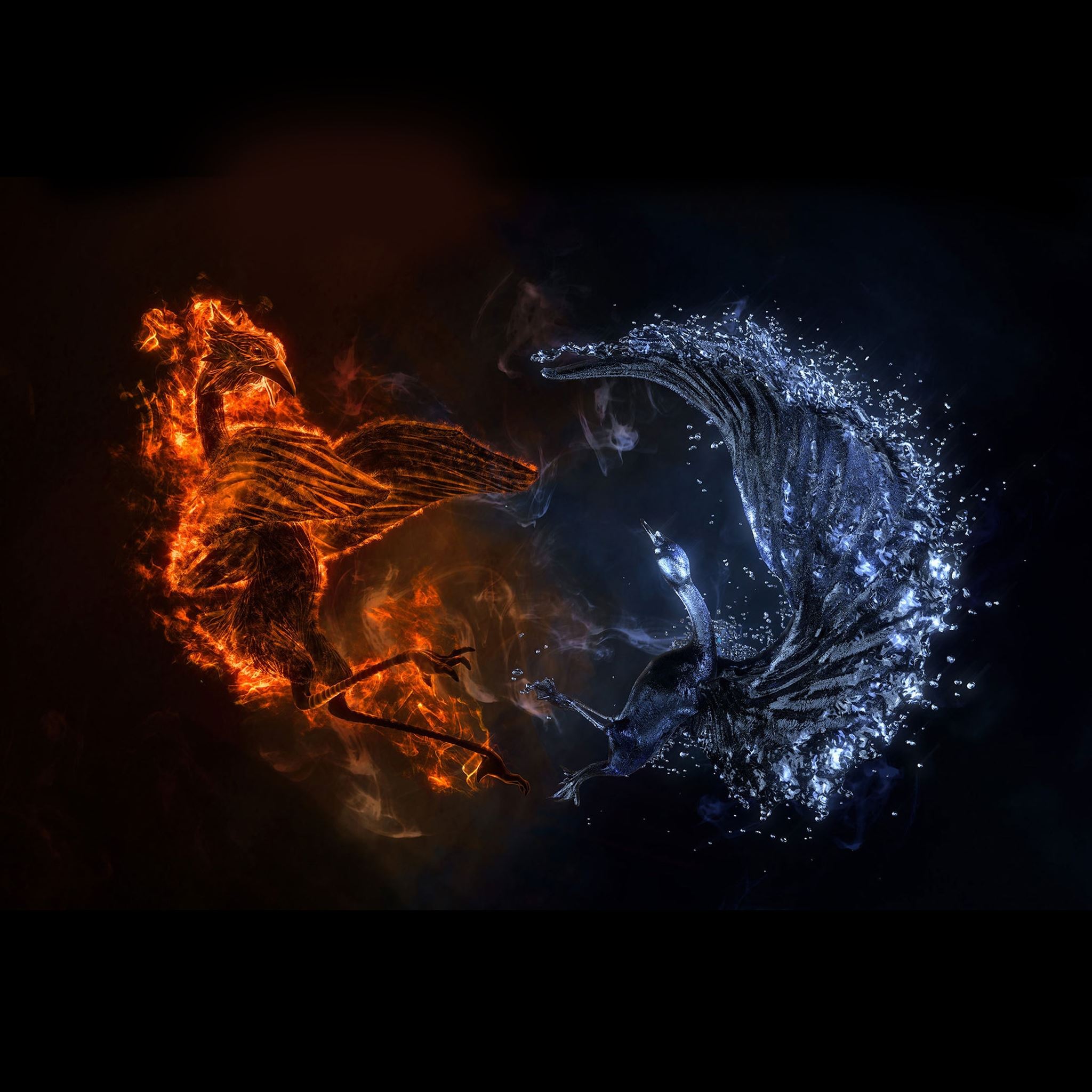 Phoenix On Fire 4K Art Wallpapers