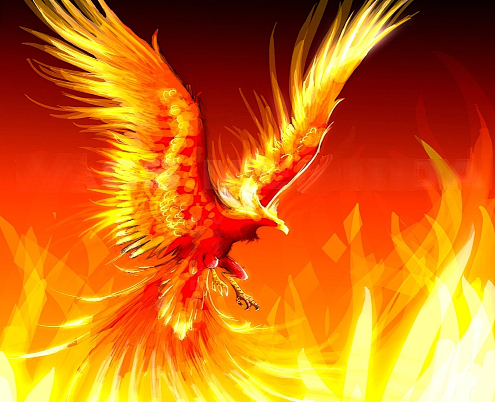 Phoenix On Fire 4K Art Wallpapers