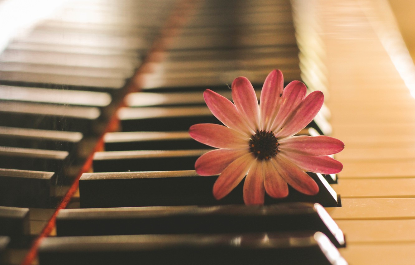 Piano Flowers Wallpapers