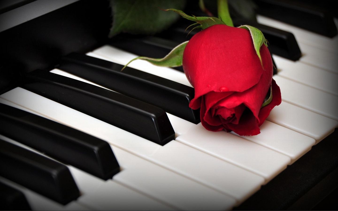 Piano Flowers Wallpapers