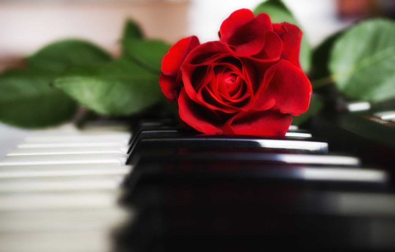 Piano Flowers Wallpapers