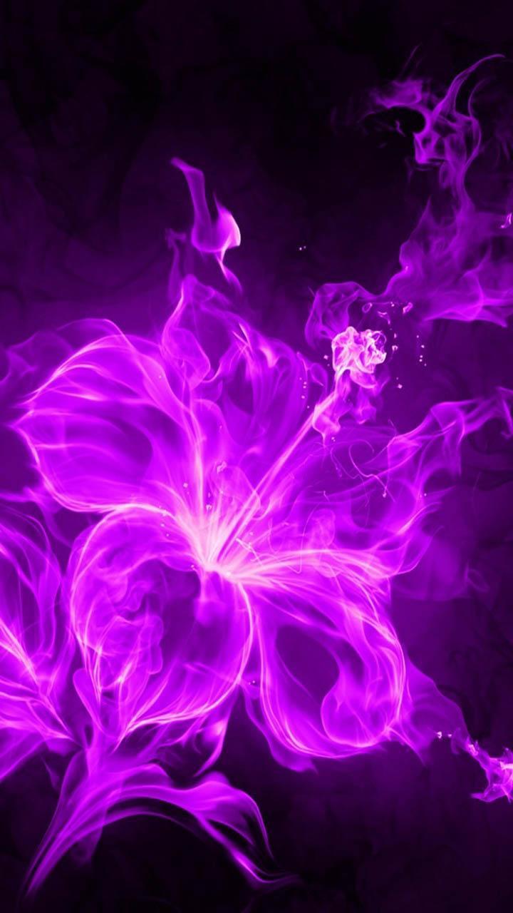 Purple Wallpapers