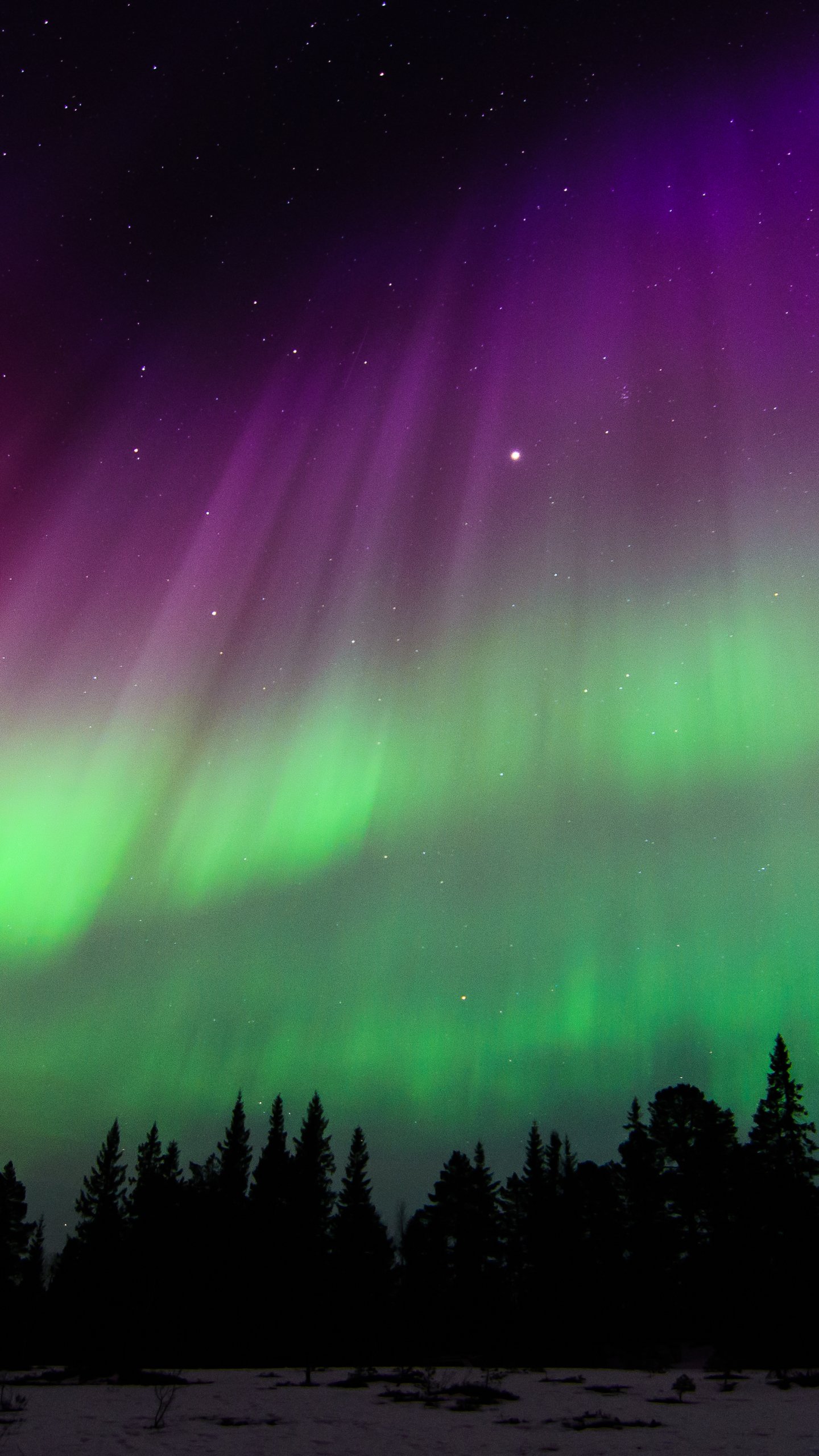 Purple Aurora Borealis Hd Wallpapers