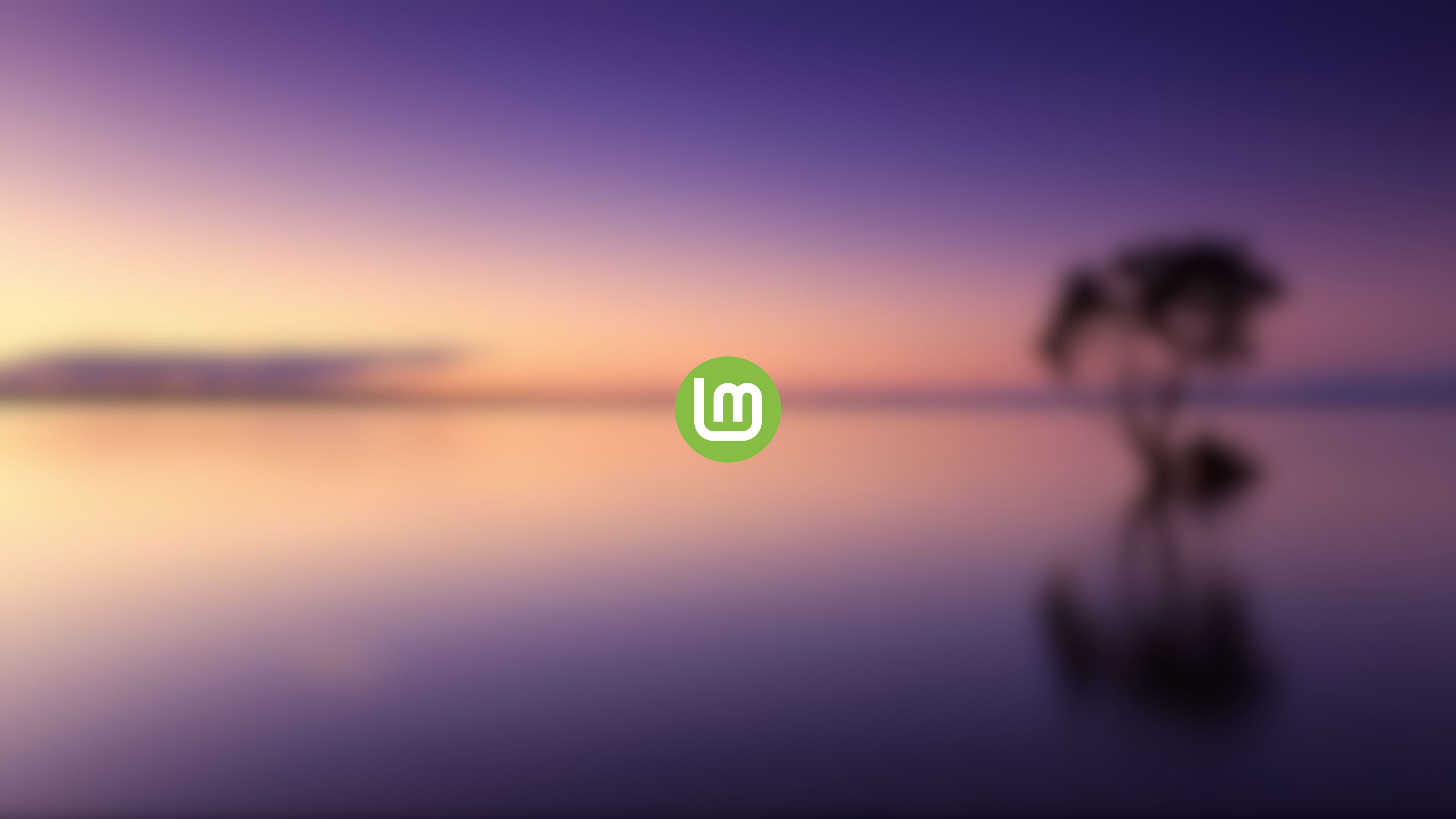 Purple Linux Mint Art Wallpapers