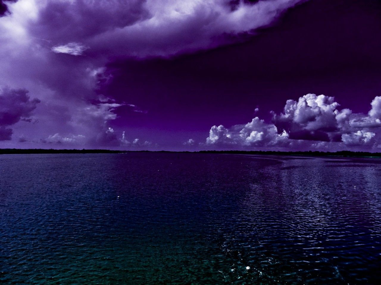 Purple Sunset Reflected In The Ocean Wallpapers