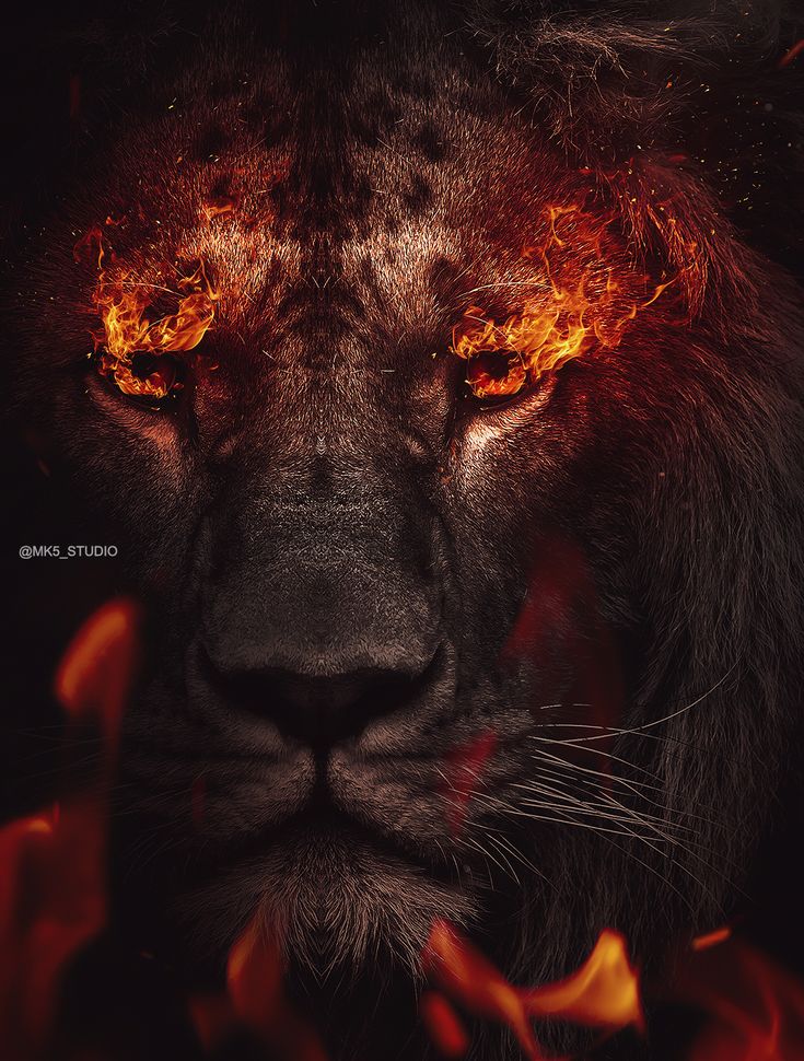 Red Lion Art Wallpapers