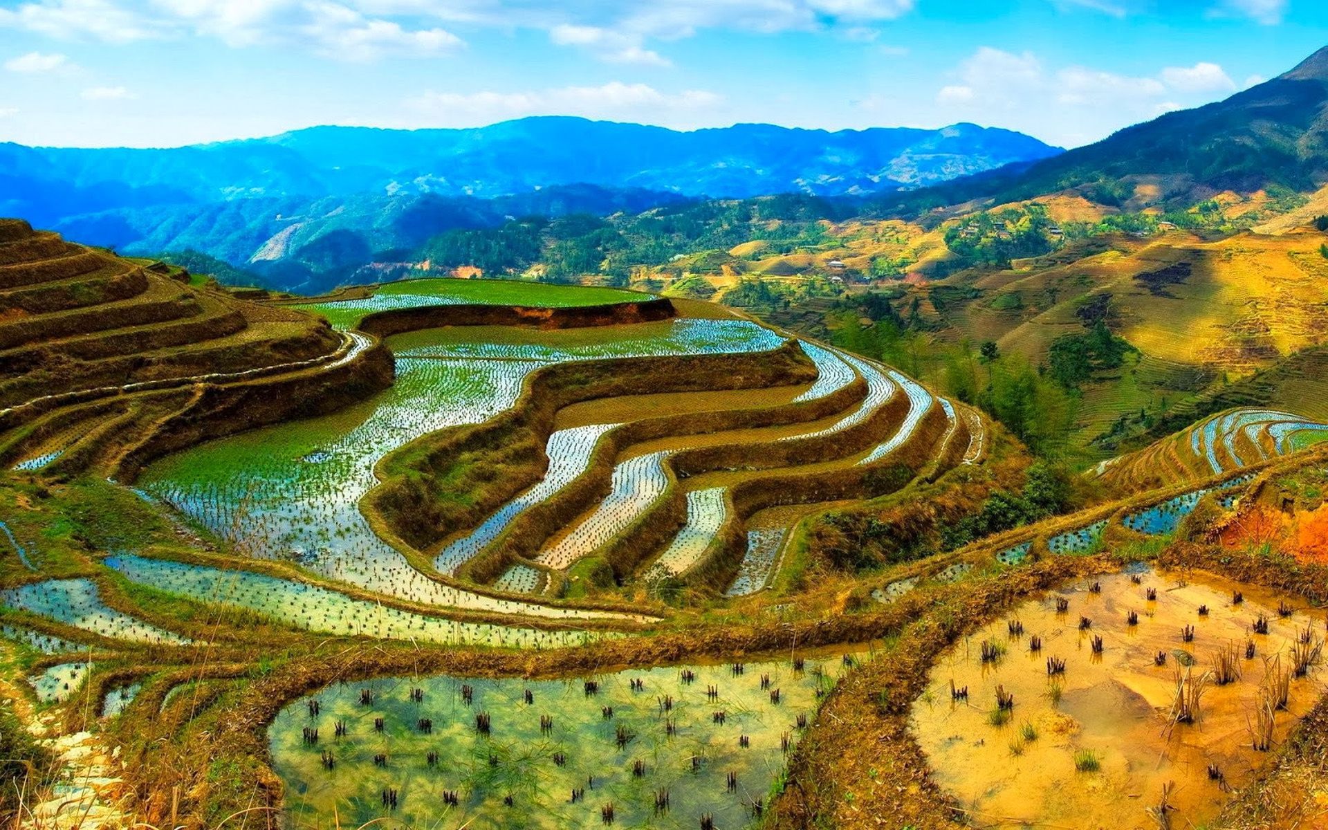 Rice Terrace New 4K Wallpapers